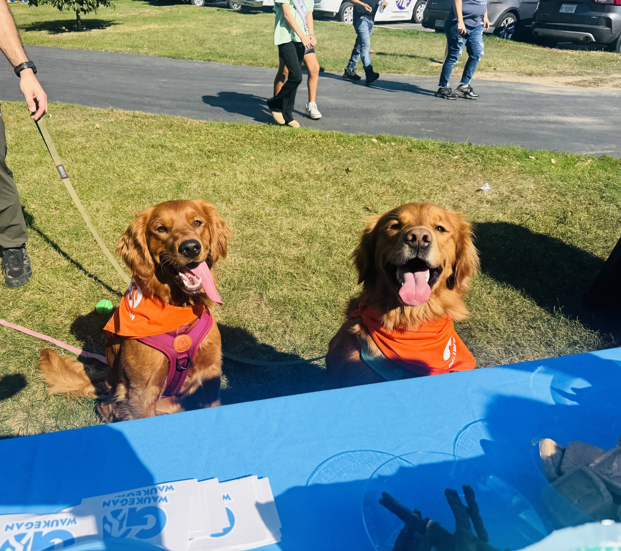 GO WAUKEGAN Wag 'N' Walk